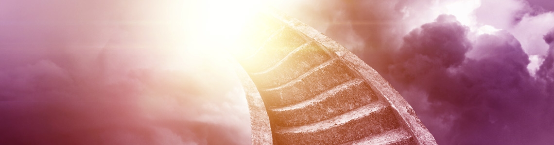 /item/42-am-ende-gut-ankommen